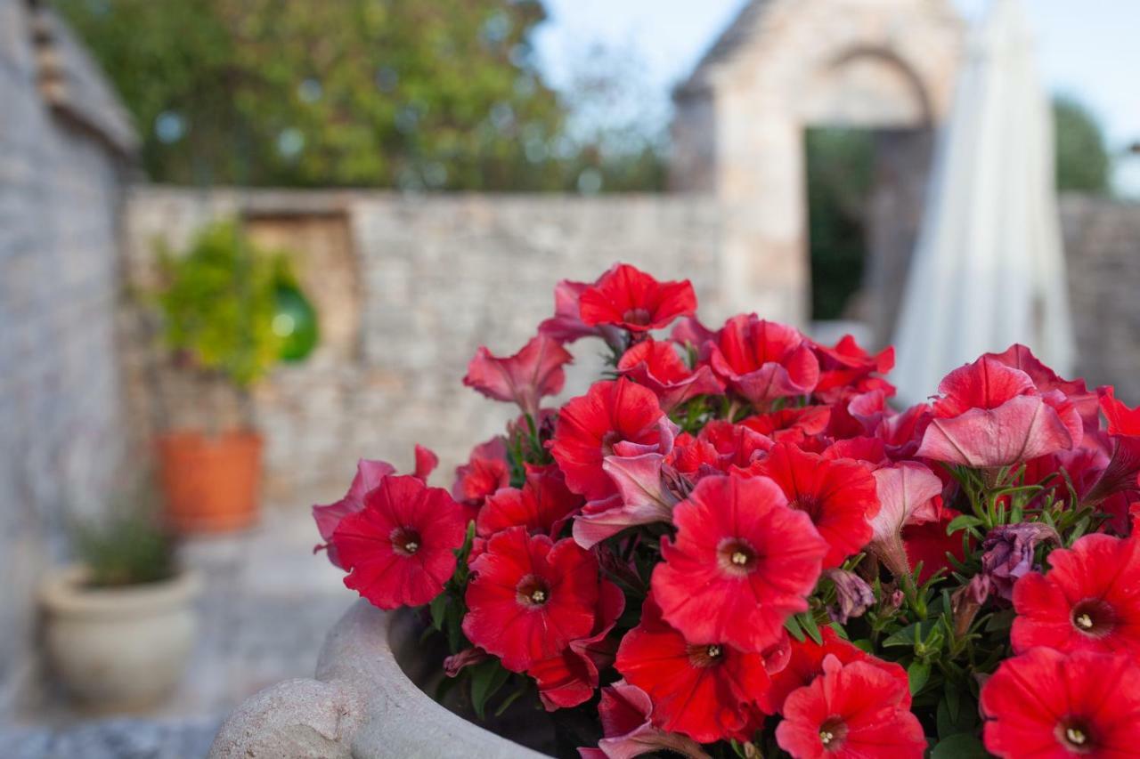 Villa Trullo Siamese Alberobello Exterior foto